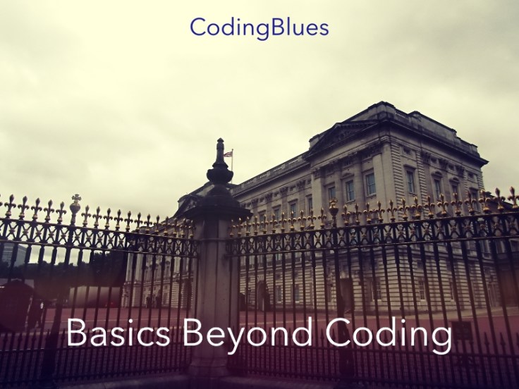 What Is RFP Basics Beyond Coding Coding Blues what-is-rfp-basics-beyond-coding-coding-blues